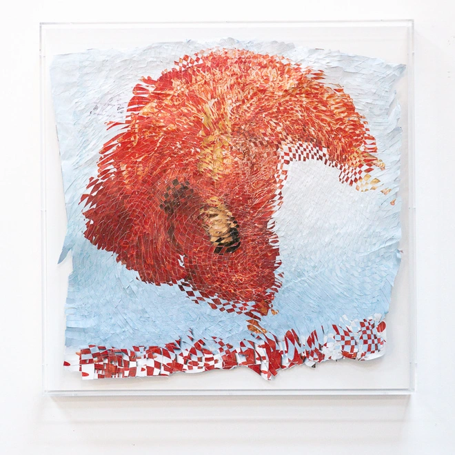 Galen Gibson-Cornell 