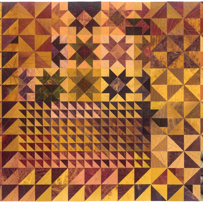 Jody Graff 